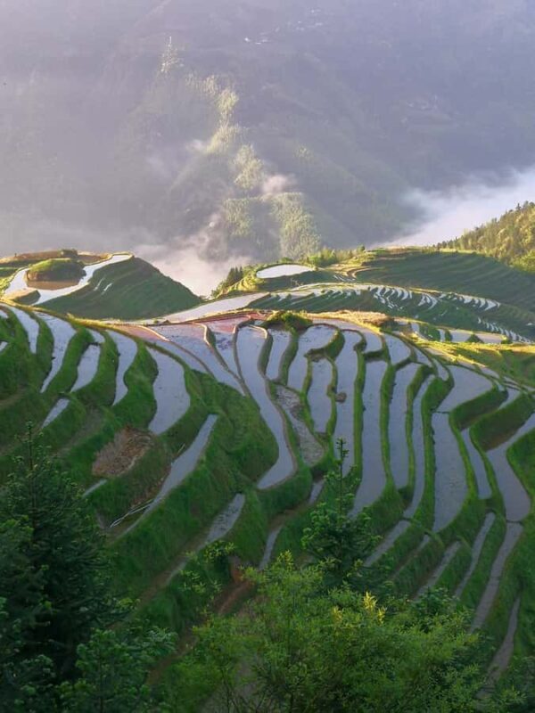 Guilin: In-Depth Longji Rice Terraces Day Trip with Lunch - FAQ