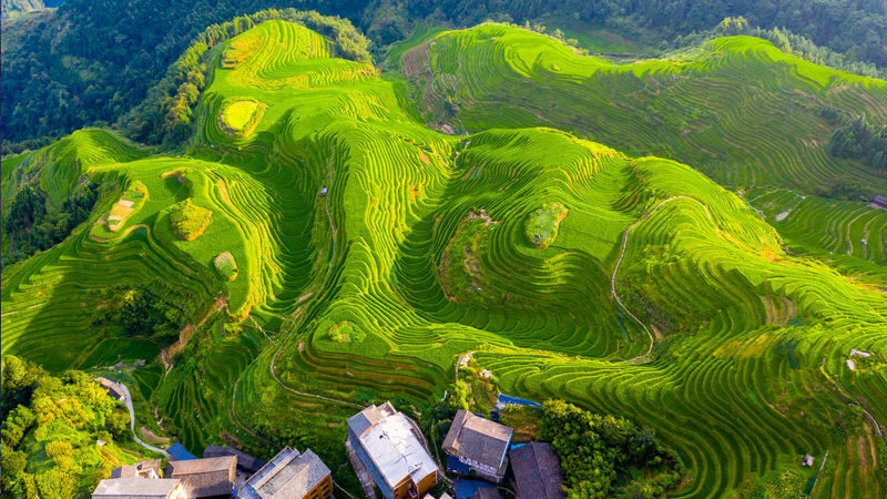 Guilin Li River 3-Star Cruise. Reed Flute Cave. Elephant Trunk Hill. Yangshuo Yulong River. Longji Rice Terraces. 4-Day Private Tour - Day one: Guilin’s cave and elephant-shaped hill
