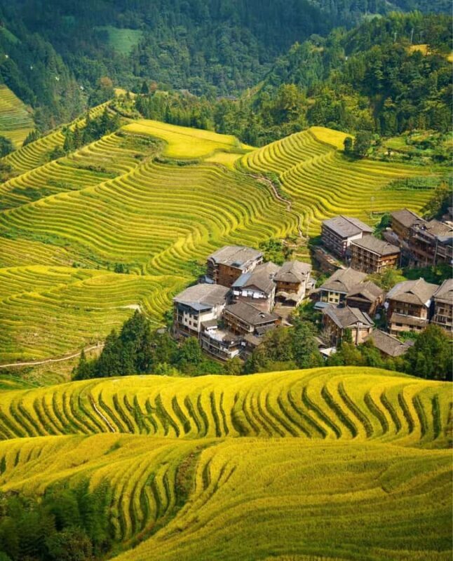Guilin Longji: Rice Terrace with Oil Tea Demo & Zhuang Lunch - A Closer Look at the Tour Experience