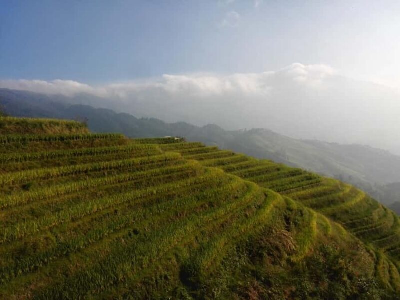 Guilin: Longji Rice Terraces and Huangluo Yao Village Tour - Pricing and Value