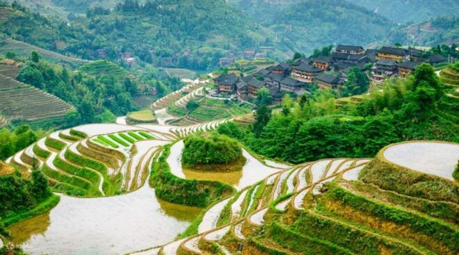 Guilin: Longji Rice Terraces& Long Hair Village Private Tour - Cost & Booking