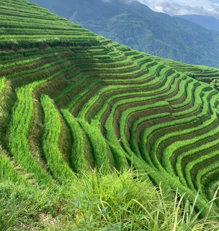 Guilin: Longji Rice Terraces & Minority Villages 2-Day Tour - Who Is This Tour Best Suited For?