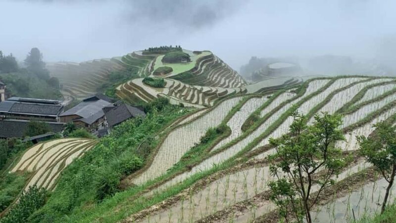 Guilin: Longji Rice Terraces & Minority Villages 2-Day Tour - Final Thoughts