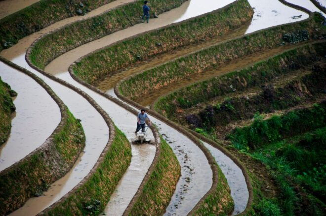 Guilin: Longji Rice Terraces&Culture Private Day Tour - Additional Information and Options
