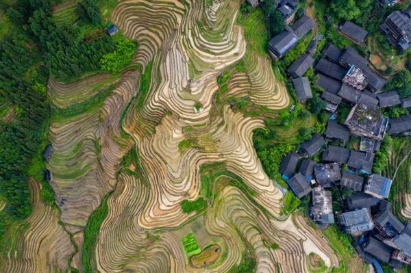 Guilin: Longji Rice Terraces&Culture Private Day Tour - Booking Details and Price