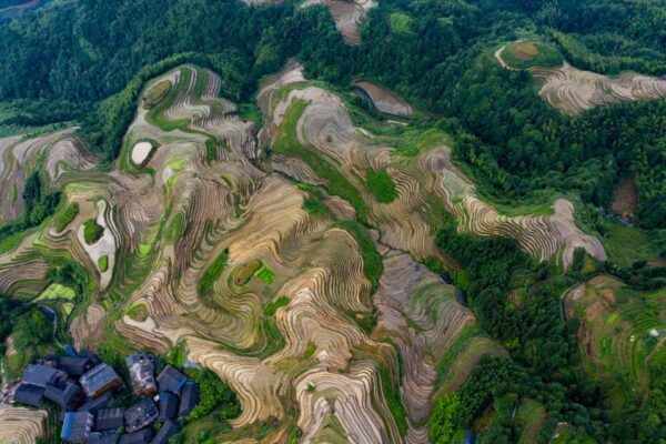 Guilin: Longji Rice Terraces&Culture Private Day Tour - Important Reminders and Costs