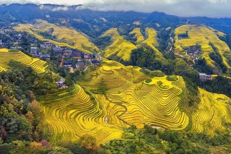 Guilin Longji Terraces & Huangluo Yao Village Day Tour - A full day in the mountains, not a 50-minute outing