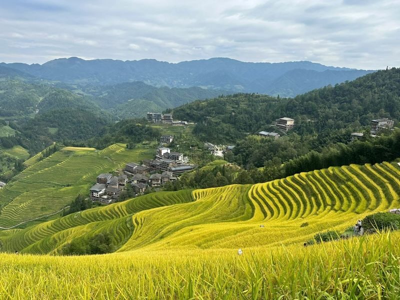 Guilin Longji Terraces & Huangluo Yao Village Day Tour - Jinkeng Dazhai: the main terrace views