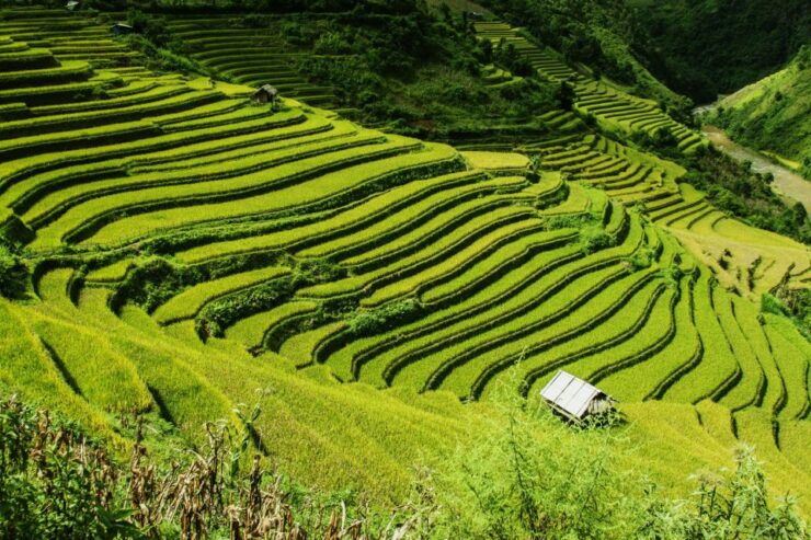 Guilin Longji Terraces Private Day Tour - Tour Details