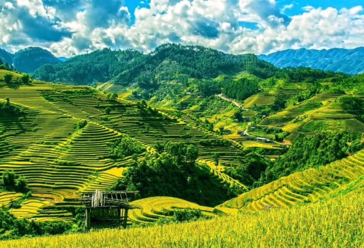 Guilin Longji Terraces Private Day Tour - Activity Description