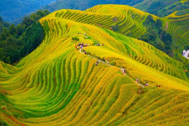 Guilin Longji Terraces Private Day Tour - Important Information