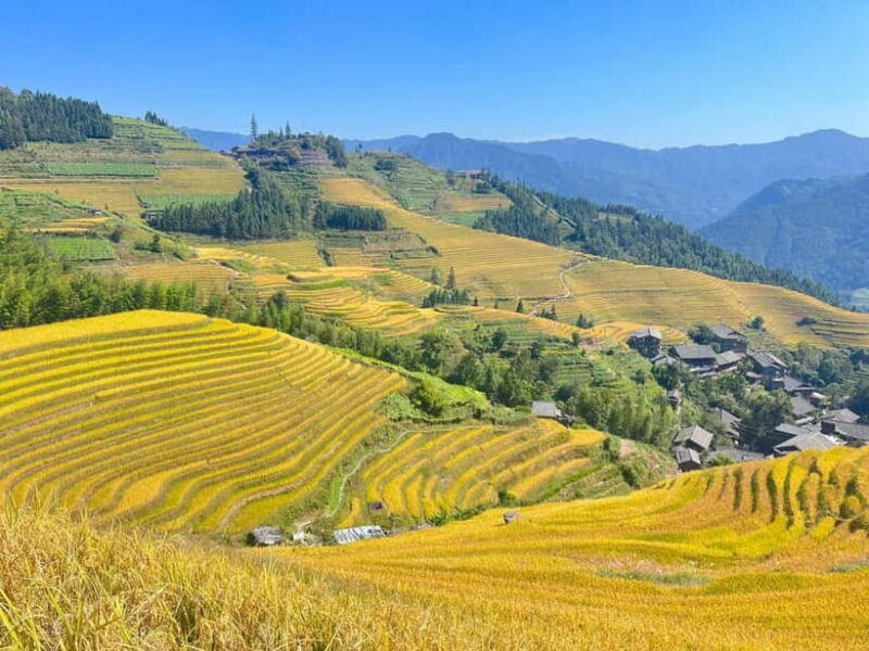 Guilin-Nanning: 8-Day Li River, Rice Terraces & Detian Falls - Good To Know