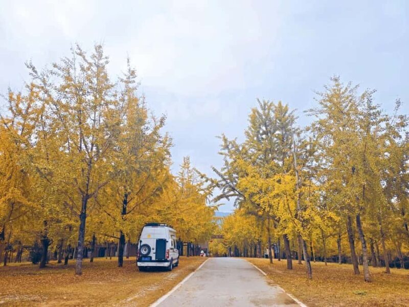 Guilin: Private Ginkgo Village and DaXu Ancient Town Tour - Final Thoughts: Who Will Love This Tour?