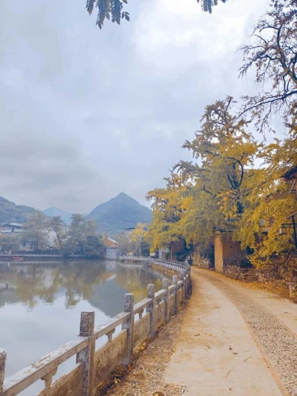 Guilin: Private Ginkgo Village and DaXu Ancient Town Tour - Final The Sum Up