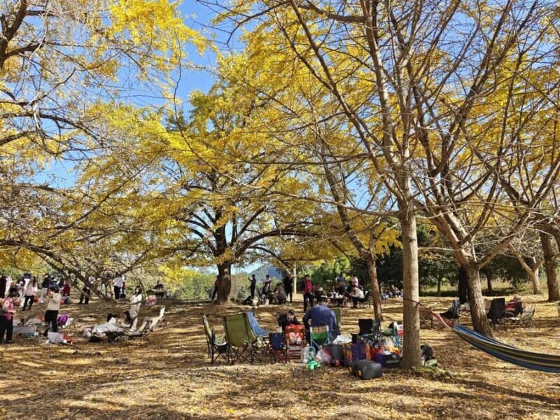 Guilin: Private Ginkgo Village and DaXu Ancient Town Tour - Good To Know