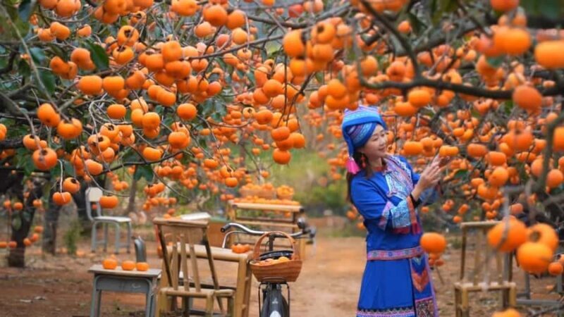 Guilin: Private Wen & Wu Temple Tour with Red Rock Village - Who Should Consider This Tour