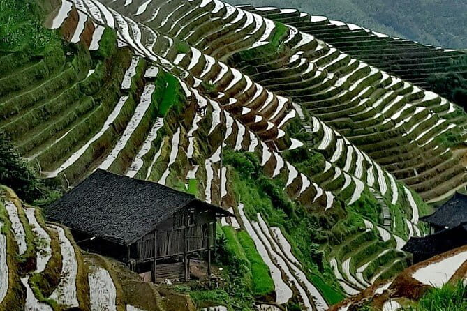 Guilin Reed Flute Cave and Longji Rice Terraces Private Day Tour - Good To Know