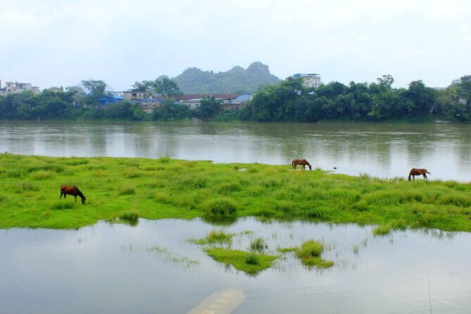 Guilin Reed Flute Cave and Longji Rice Terraces Private Day Tour - Who Is This Tour Best For?