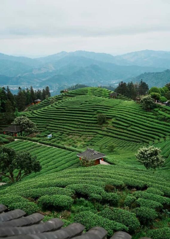 Guilin to Sanjiang: Dong Village, Local Lunch & Tea Mountain - FAQ