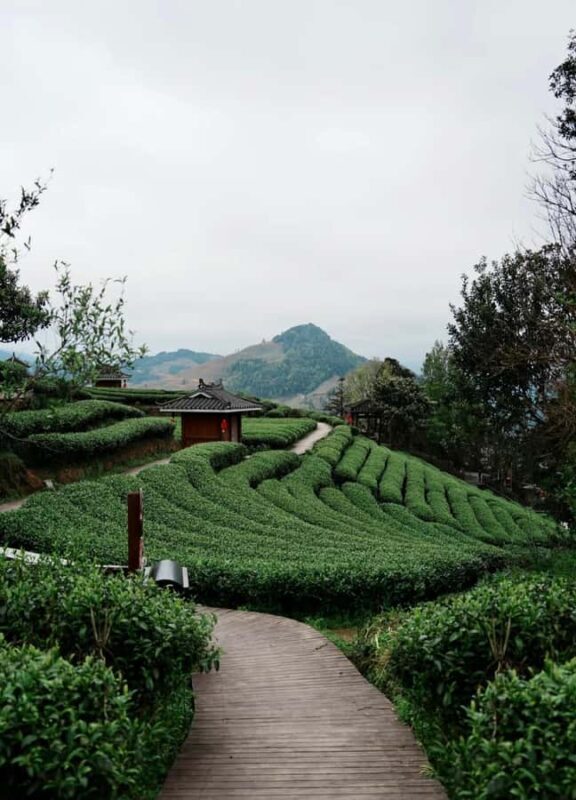 Guilin to Sanjiang: Dong Village, Local Lunch & Tea Mountain - Practicalities and Value