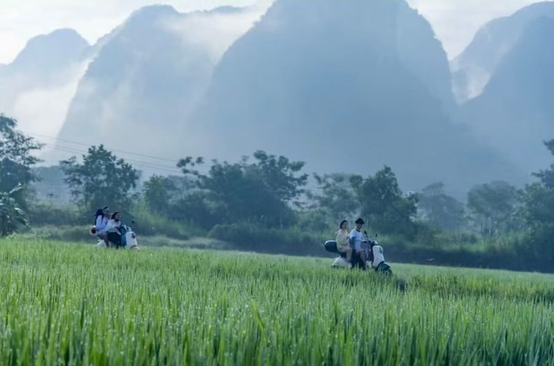 Guilin Yangshuo One-Day Tour (2-8 Person Group + Optional Butterfly Spring/Silver Cave/Xianggong Mountain/Shangri-La/Ten-Mile Gallery/Eternal Love Show/Impression Sanjie Liu Show, choose 1 out of 7) - Who should book this Yangshuo day?