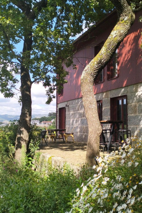 Guimarães: Vertical Wine Tasting - Tour Details