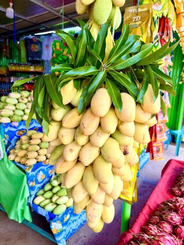 Guimaras Land Tour and Top Attractions - A quick crossing, then Guimaras by van