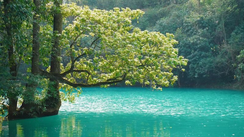 Guiyang Libo Xiaoqikong One-Day Bus Tour - Six water stops, one busy day