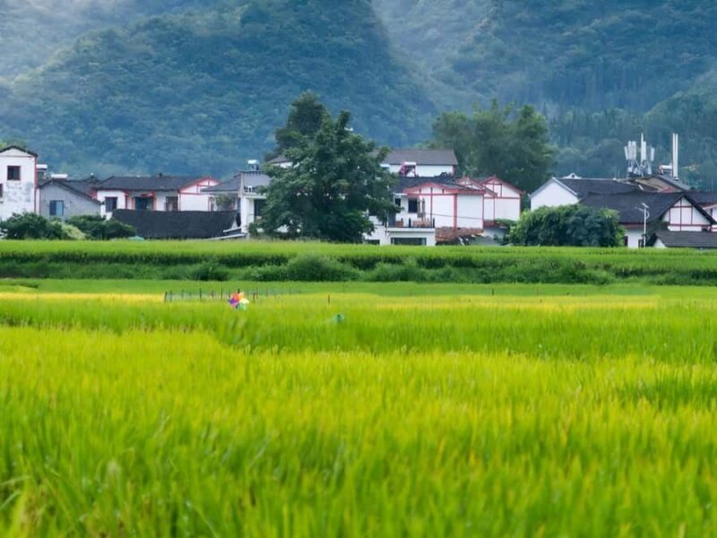 Guiyang: Maling River Gorge & Wanfenglin 2-Day Tour - Authenticity and Reviewer Insights