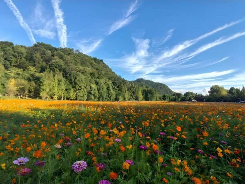 Guiyang: Yelang Valley & Huaxi Shili River Beach Tour - Why This Tour Works Well