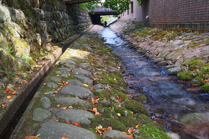 Gujo Hachiman All Must-Sees Full Day Private Tour With Government-Licensed Guide - Scenic Views