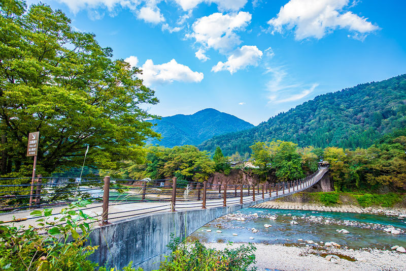 Gujo Hachiman & Hida Takayama & Shirakawa-go Gassho Village Day Trip - Is the $49.29 starting price good value?