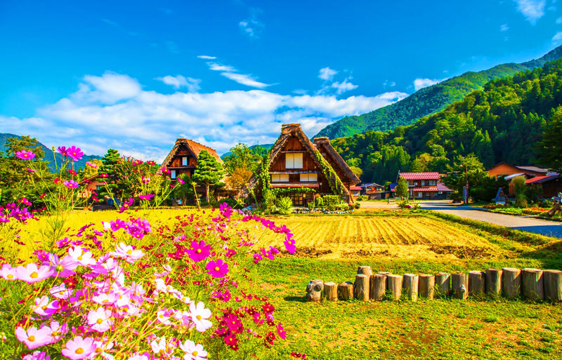 Gujo Hachiman & Hida Takayama & Shirakawa-go Gassho Village Day Trip - Timing, packing, and booking details