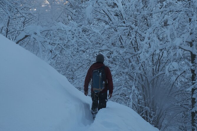 Gulebi Hiking From Batumi - Price and Booking