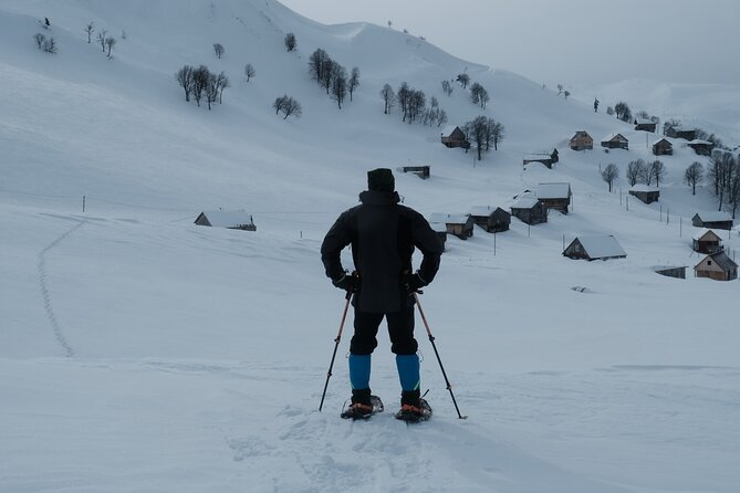 Gulebi Hiking From Batumi - Accessibility Information