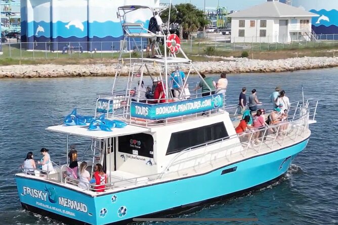 Gulf Breeze Dolphin Tour Around Pensacola Beach - Tour Overview
