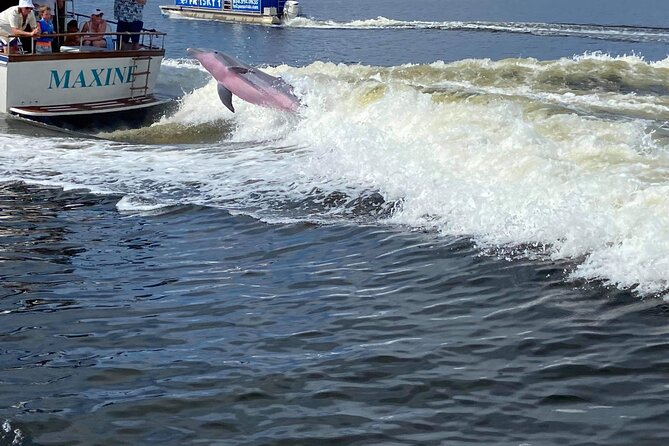 Gulf Breeze Dolphin Tour Around Pensacola Beach - Meeting and Pickup