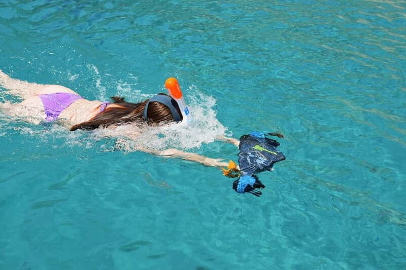 gulf of Ajaccio / Anse de cacao , swim stop - Who Will Enjoy This Tour?