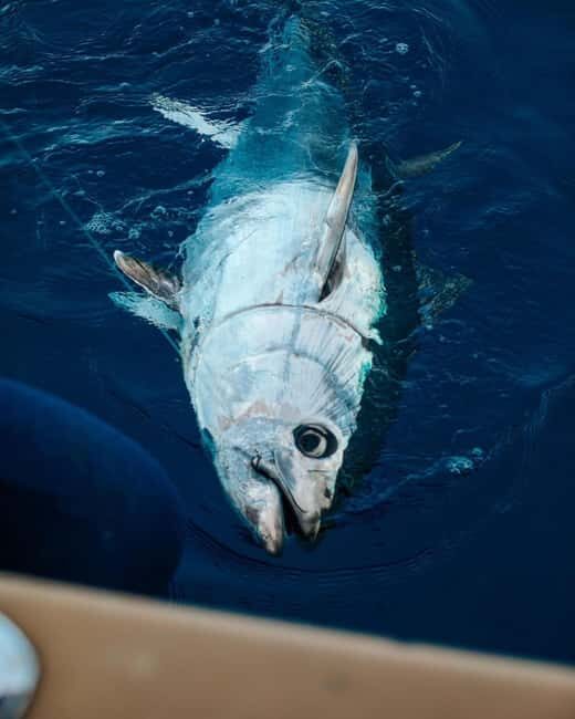 Gulf of Ajaccio: Private Fishing Trip in a Perle Blanche - An In-Depth Look at the Experience
