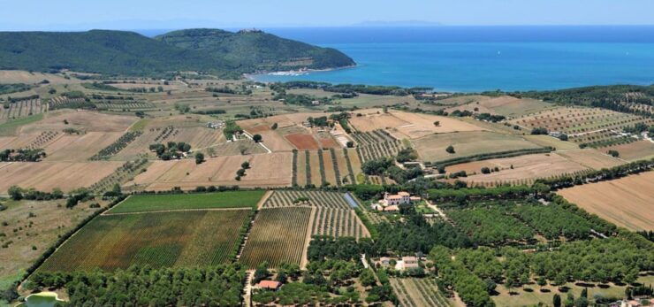 Gulf of Baratti & Populonia: E-Bike Tour + Shuttle Service - Itinerary Highlights