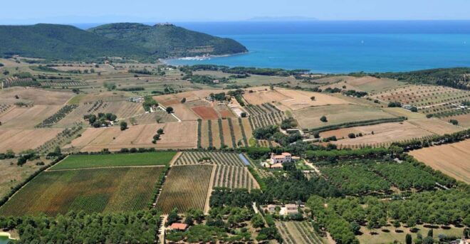 Gulf of Baratti & Populonia: E-Bike Tour + Shuttle Service - Booking Information