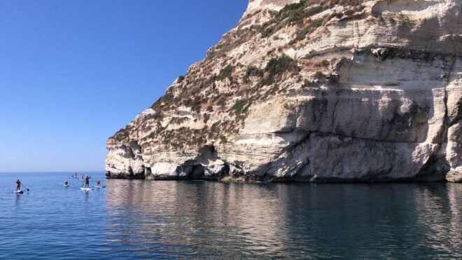 Gulf of Cagliari: Half-Day Sailing Excursion - Testimonial