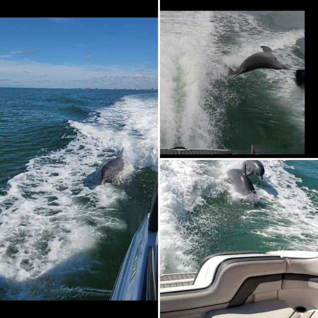 Gulf of Mexico: Sunset Boat Tour - Booking Information