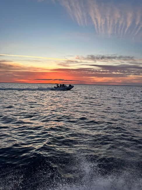 Gulf of Morbihan cruise with/without stopover on Île-aux-Moines - Good To Know