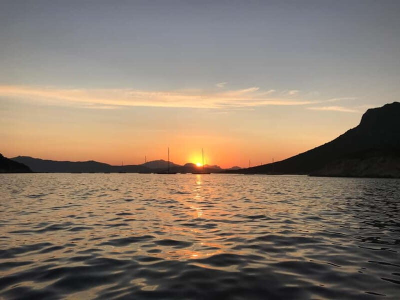 Gulf of Olbia: Dolphin watching by dinghy - Good To Know