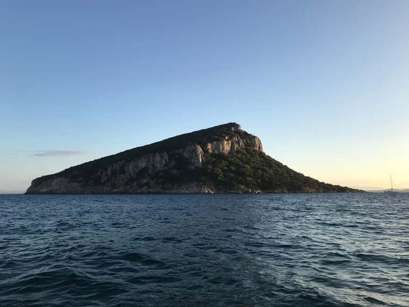 Gulf of Olbia: Dolphin watching by dinghy - Practical Tips for a Smooth Trip