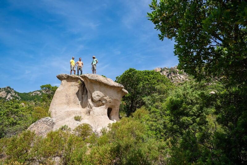 Gulf of Orosei: 4X4 Tour Between Mountains & Beaches - Good To Know