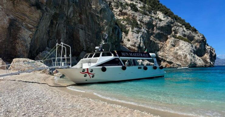 Gulf of Orosei: Grotta Del Bue Marino & Cala Luna Boat Tour - Good To Know
