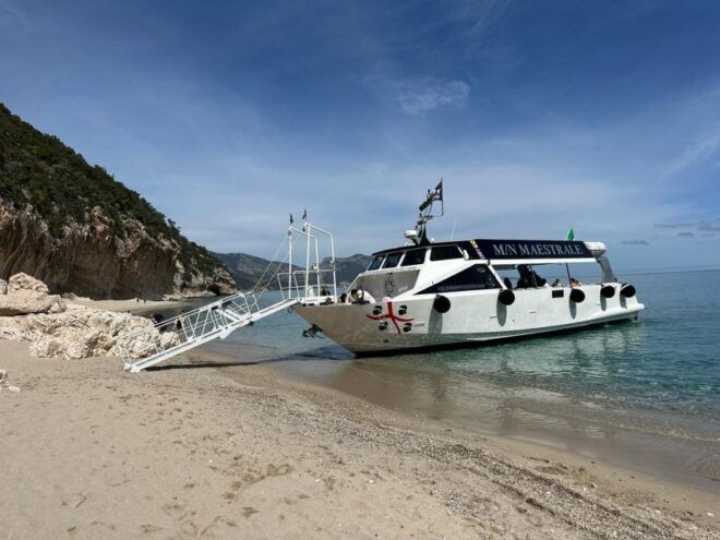 Gulf of Orosei: Grotta Del Bue Marino & Cala Luna Boat Tour - Customer Reviews