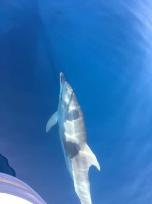 Gulf of Porto: Check out the Calanques de Piana and/or the Scandola Reserve - Gulf of Porto: Check out the Calanques de Piana and/or the Scandola Reserve